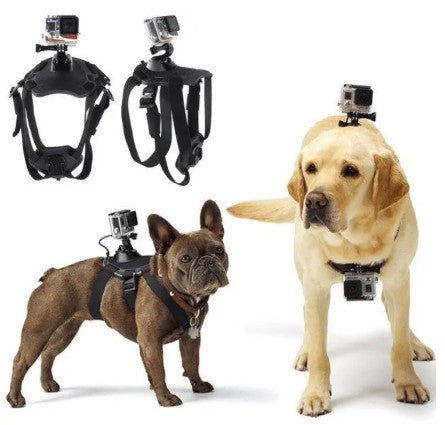 Exclusive Pet Tech Bundles & Deals – Smarter Care, Better Value