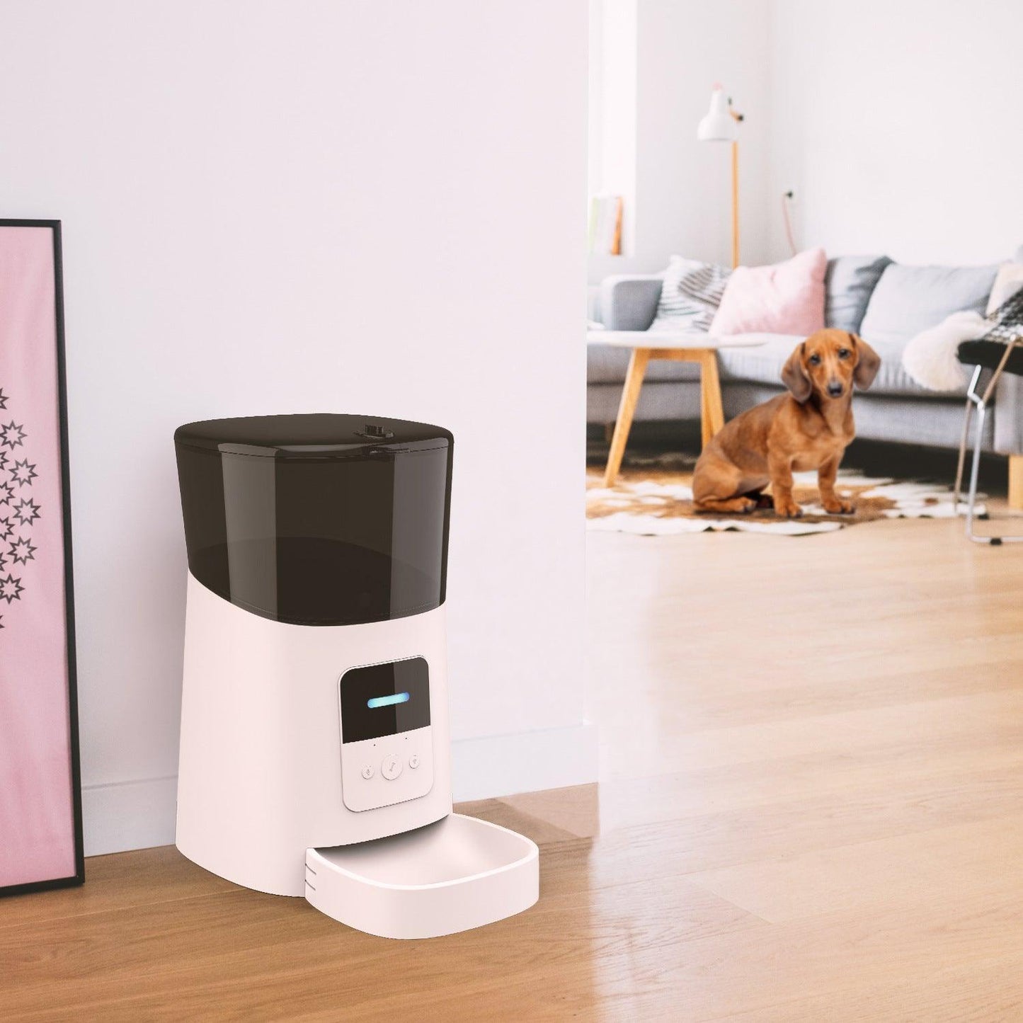 Convenientclean Pet Feeder